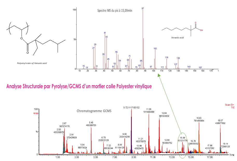 Analyse strucutrale d'un mortier colle polyester vinylique